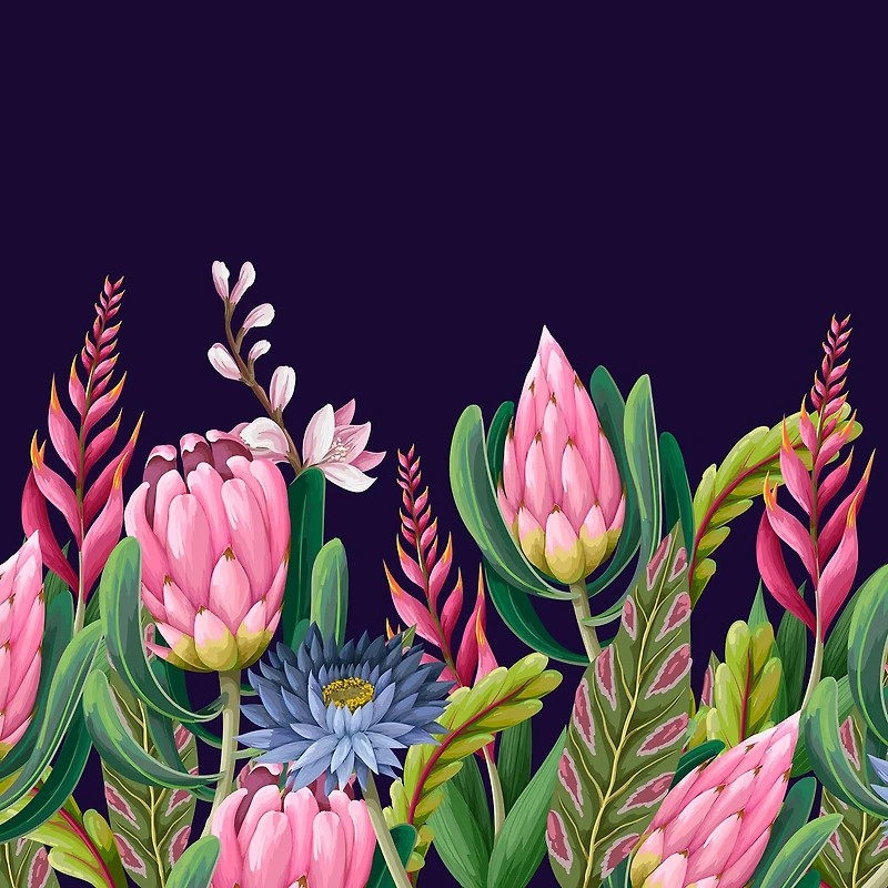 Proteas Flower 2 Wallpaper Mural