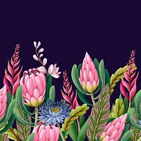 Proteas Flower 2 Wallpaper Mural