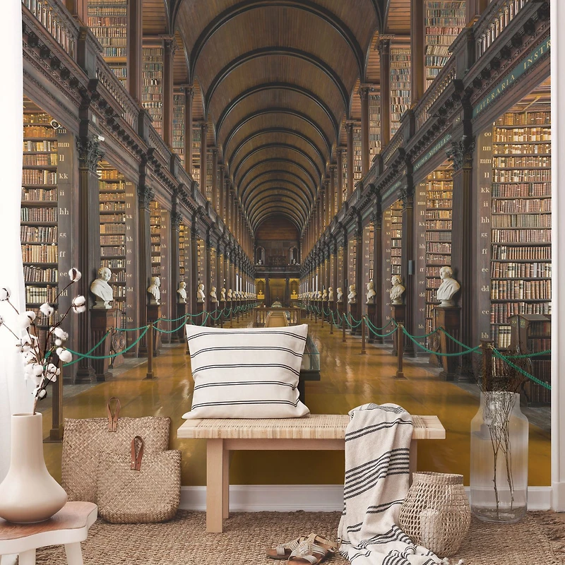 Papier peint mural « Trinity College Library »