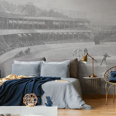 Vintage 1894 Baseball Match Wallpaper Mural