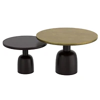 Adira 2-Piece Coffee Table Set - Antique Gold/Black