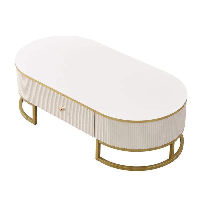 Modern Oval Coffee Table with Drawers