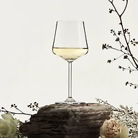 Allure Universal Wine Glasses, Set of 12 - 14.5oz