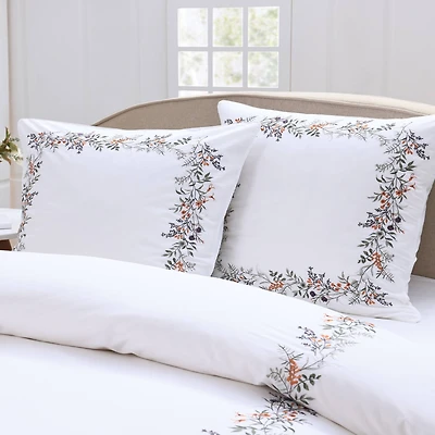 Alessa Euro Sham