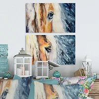Close up of a Beautiful Horse's Eye  Set 2 Pieces