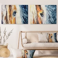 Close up of a Beautiful Horse's Eye  Set 2 Pieces