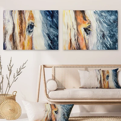 Close up of a Beautiful Horse's Eye  Set 2 Pieces