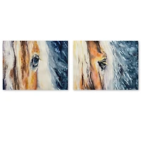 Close up of a Beautiful Horse's Eye  Set 2 Pieces