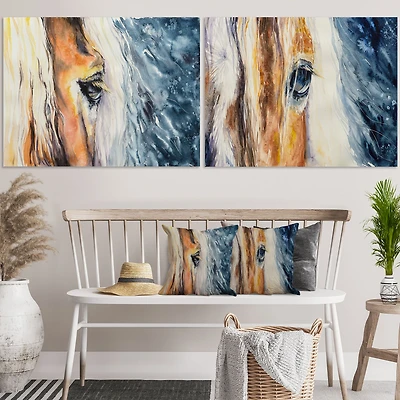 Close up of a Beautiful Horse's Eye  Set 2 Pieces