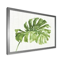 Mixed Botanical Green Leaves V Canvas Art