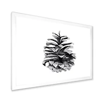 Toile « Conifer Cone Monochrome »
