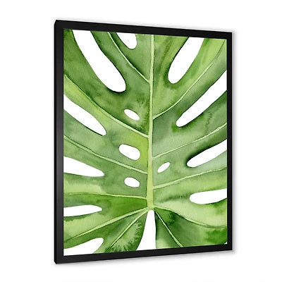 Green Monstera Leaf Tropical Palm Botanical Detail  Wall Art
