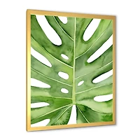 Green Monstera Leaf Tropical Palm Botanical Detail  Wall Art