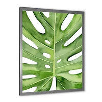 Green Monstera Leaf Tropical Palm Botanical Detail  Wall Art