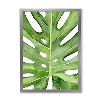 Green Monstera Leaf Tropical Palm Botanical Detail  Wall Art
