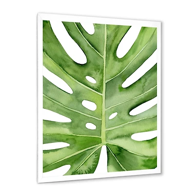 Green Monstera Leaf Tropical Palm Botanical Detail  Wall Art