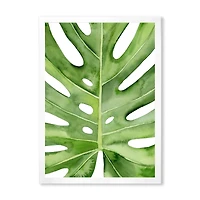 Green Monstera Leaf Tropical Palm Botanical Detail  Wall Art