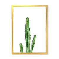 Green Cactus South Western Plant Botanical Detail  Wall Art