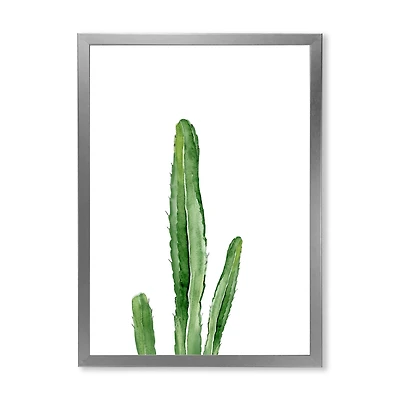 Green Cactus South Western Plant Botanical Detail  Wall Art