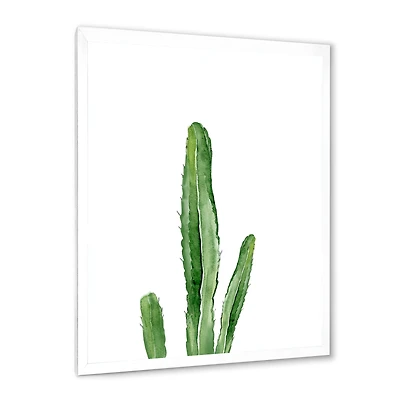 Green Cactus South Western Plant Botanical Detail  Wall Art