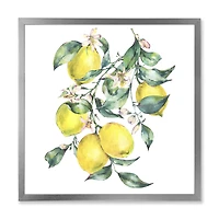 Branch of Yellow Lemons and Leaves I  Wall Art