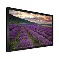 Lavender Field At Dawn I  Wall Art
