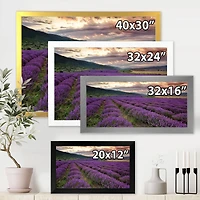 Lavender Field At Dawn I  Wall Art