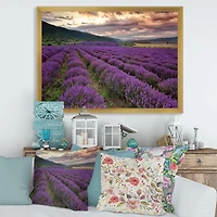 Lavender Field At Dawn I  Wall Art