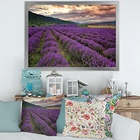 Lavender Field At Dawn I  Wall Art