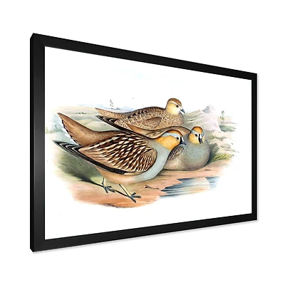 Toile « Vintage Birds The Wild III »
