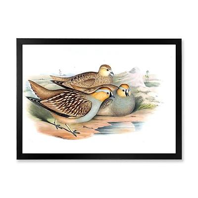 Vintage Birds The Wild III  Wall Art