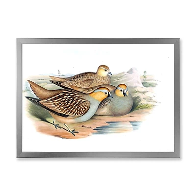 Vintage Birds The Wild III  Wall Art