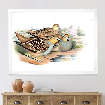 Vintage Birds The Wild III  Wall Art
