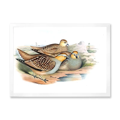Vintage Birds The Wild III  Wall Art