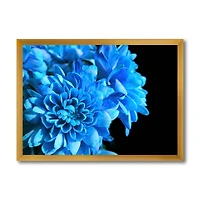 Detail of Blue Flowers on Black I  Wall Art