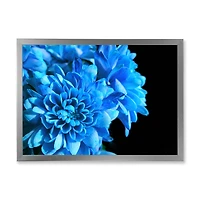Detail of Blue Flowers on Black I  Wall Art