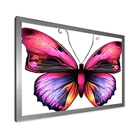 Bright Pink Butterfly Portrait  Wall Art