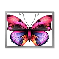 Bright Pink Butterfly Portrait  Wall Art