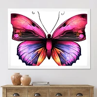 Bright Pink Butterfly Portrait  Wall Art