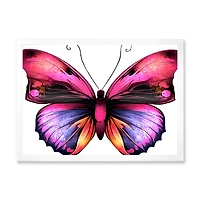 Bright Pink Butterfly Portrait  Wall Art