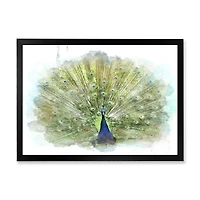 Toile « Peacock Bird »