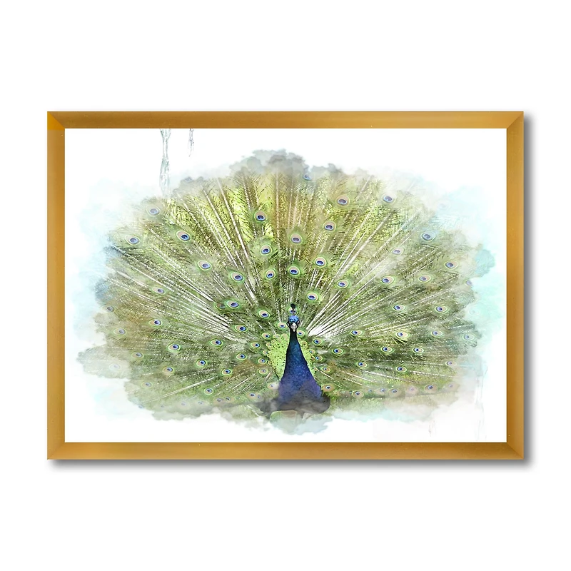 Toile « Peacock Bird »