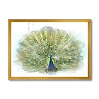Toile « Peacock Bird »