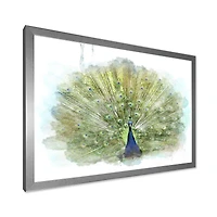 Toile « Peacock Bird »