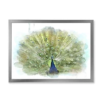 Toile « Peacock Bird »