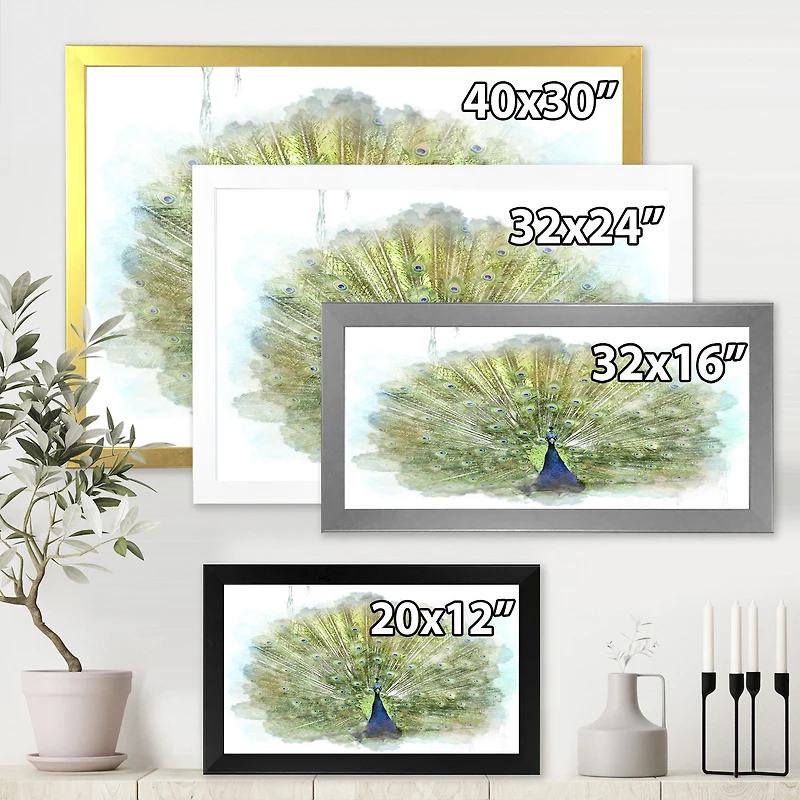 Toile « Peacock Bird »