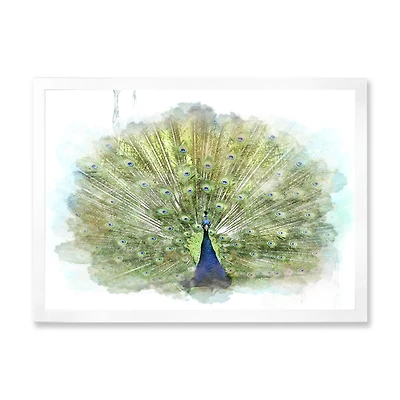 Peacock Bird  Wall Art