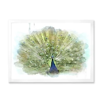 Toile « Peacock Bird »