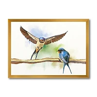 Two Barn Swallows Birds  Wall Art