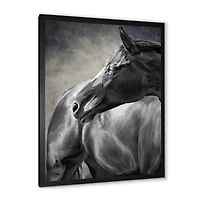 Portrait of A Black Horse  Canvas Wall Art Print